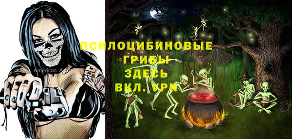 не бодяженный Медногорск
