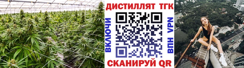 Дистиллят ТГК THC oil  хочу   Сорск 