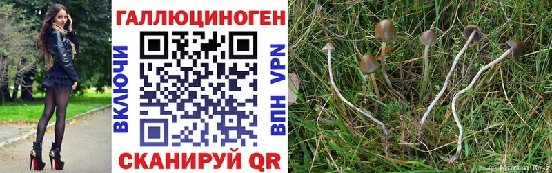 Галлюциногенные грибы Magic Shrooms  как найти закладки  darknet состав  Сорск 