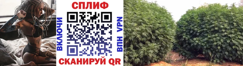 Бошки Шишки семена  Сорск 